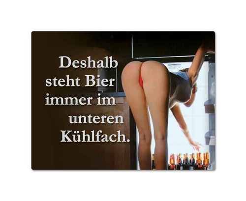 Magnet deshalb steht bier - magnet,