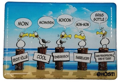 Hösti magnet moinsen - moinsen,